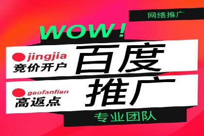 深度剖析SEM代运营公司成功案例